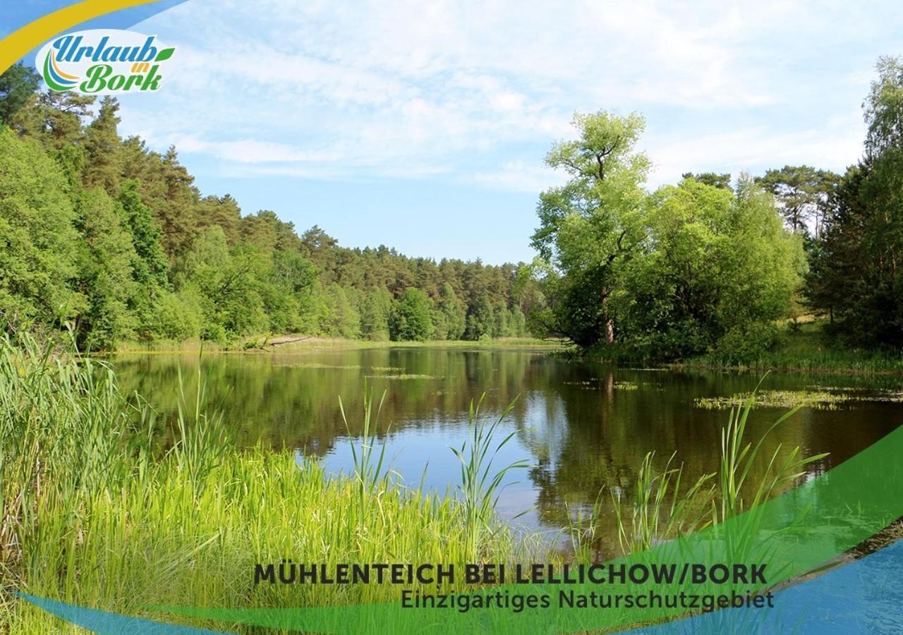 Jagd-Angler-Suite-04-Im-Wald-Am-See Kyritz Exteriör bild