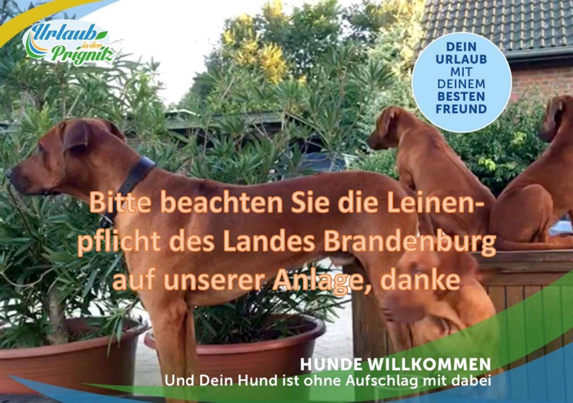 Jagd-Angler-Suite-04-Im-Wald-Am-See Kyritz Exteriör bild